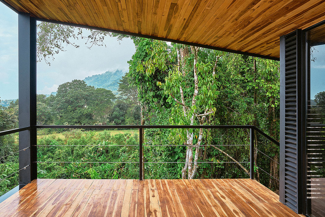 Wooden deck overlooks lush green forest, with a modern architectural design.