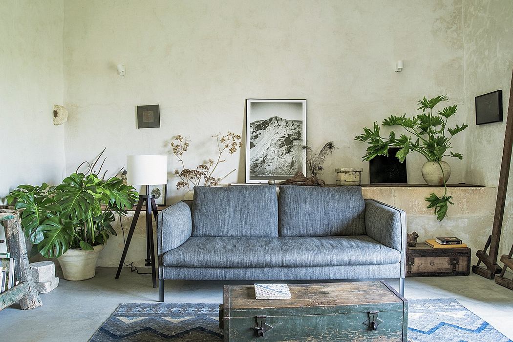 Well-appointed living room with gray sofa, potted plants, and rustic decor elements.