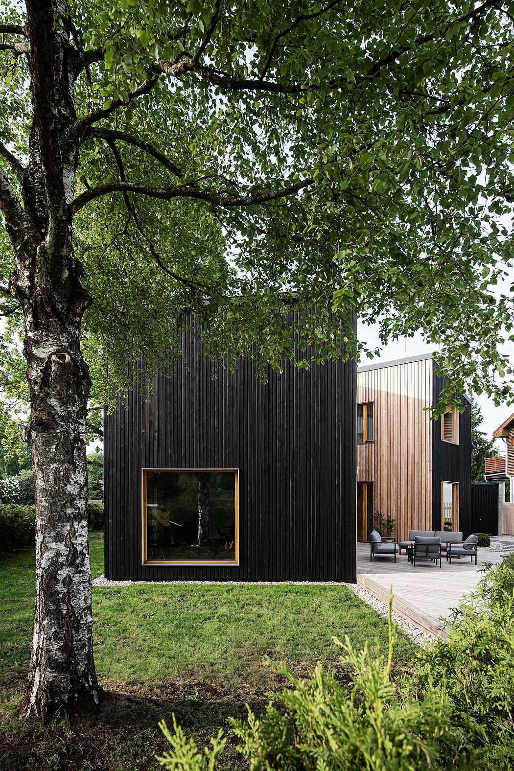 Modern black wooden building with large windows, surrounded by lush greenery.