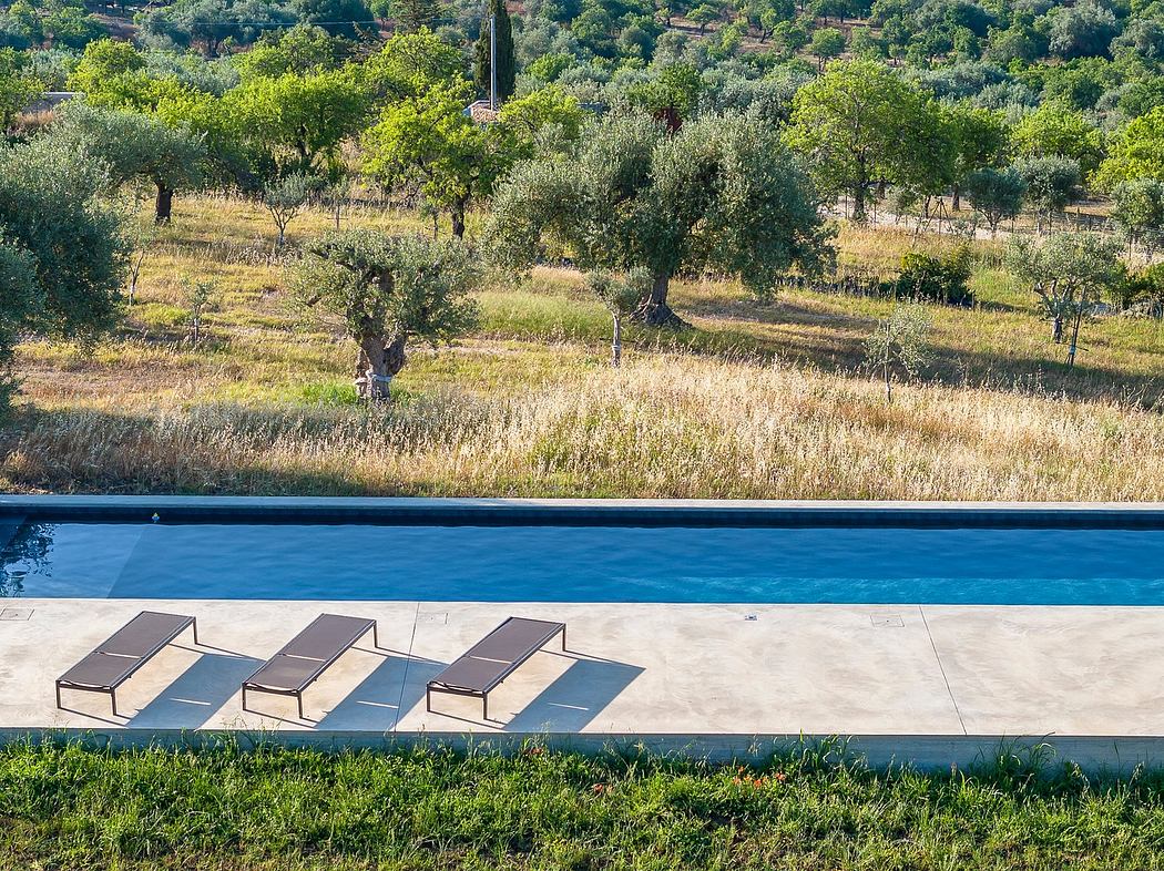 Rectangular lounge chairs surrounding a rectangular pool in a lush, rural landscape.