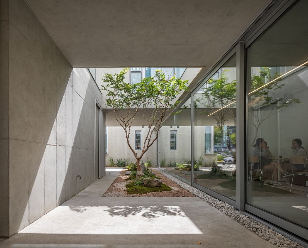 An indoor courtyard with a mature tree, concrete walls, and glass windows overlooking the exterior space.