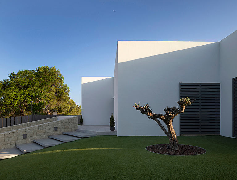 A modern, minimalist exterior with clean lines, stepping stones, and a sculptural tree.