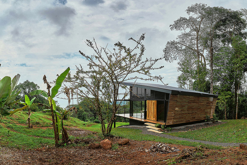 Modern wooden cabin nestled in lush tropical foliage, with large windows and deck.