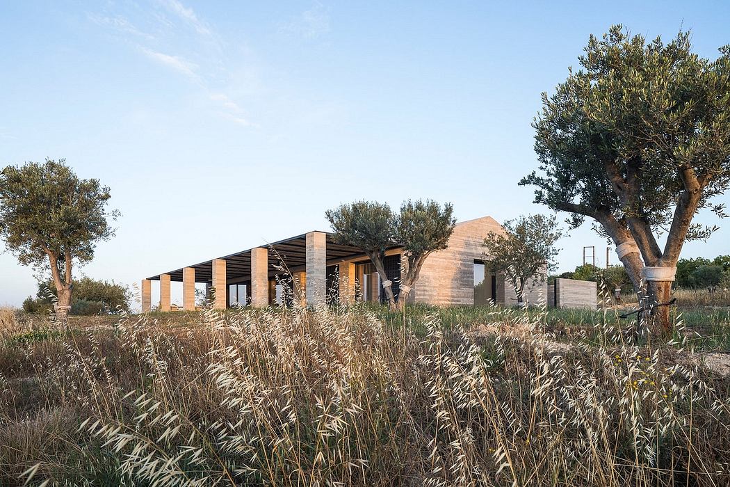 Rural wooden structure with large windows and perched amongst tall grasses and trees.
