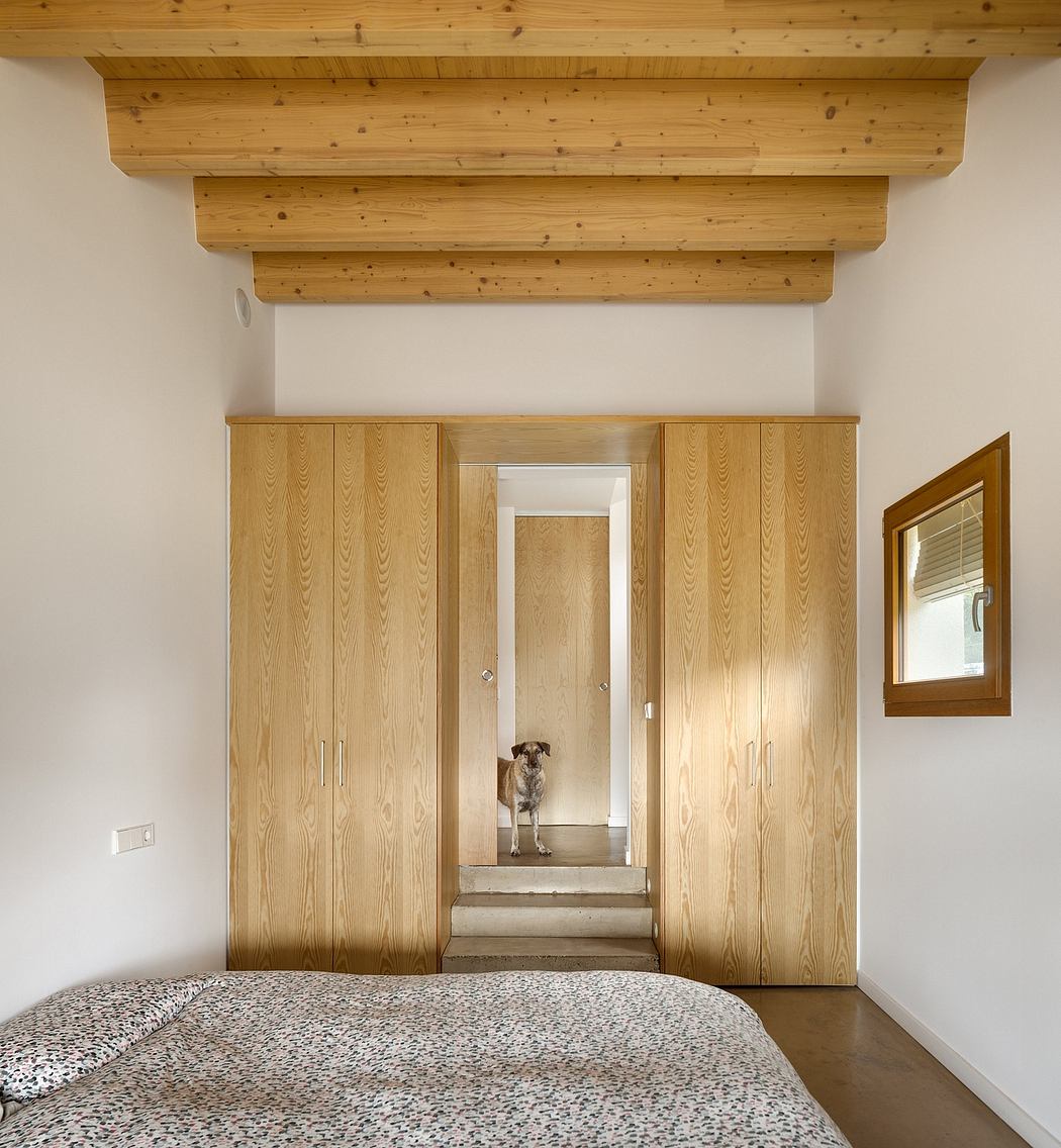 Cozy bedroom with wooden slat ceiling, built-in wardrobes, and a dog peeking through doorway.