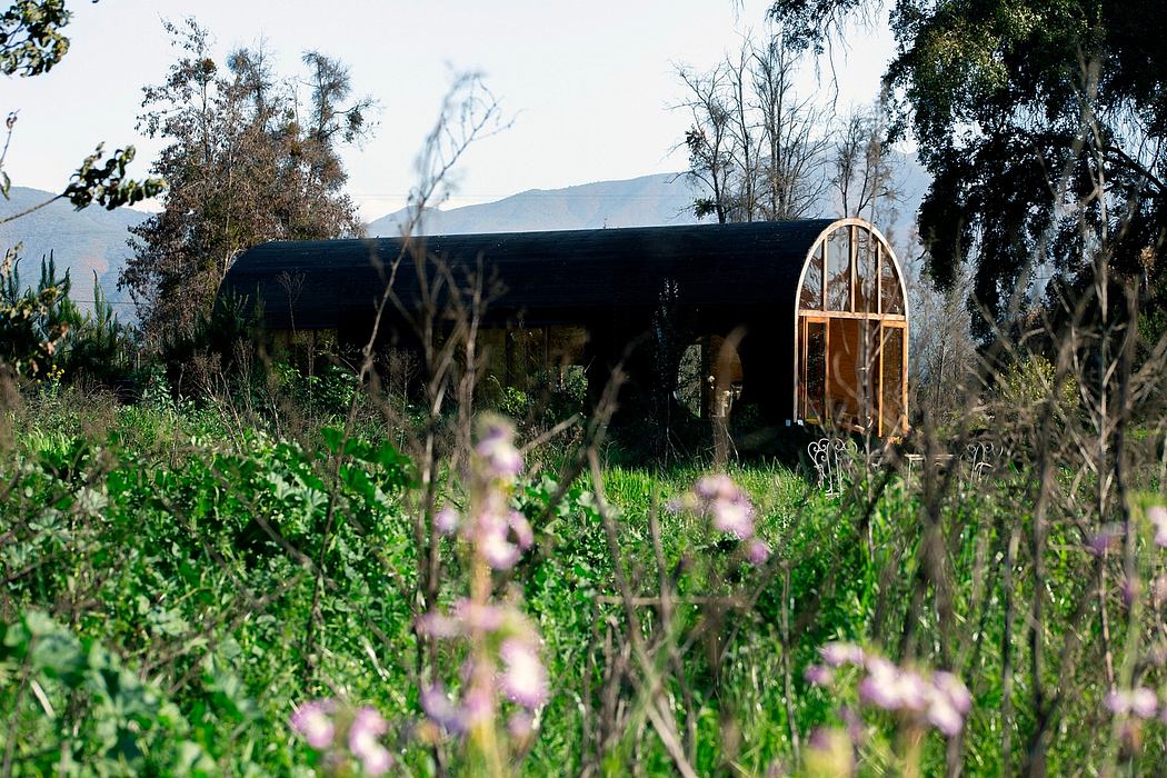 A quaint wooden structure with an arched window nestled amidst a lush, overgrown landscape.