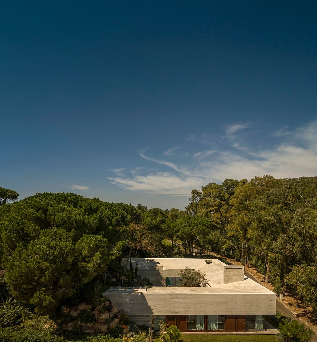 A modern, concrete home nestled amidst a lush, forested landscape.