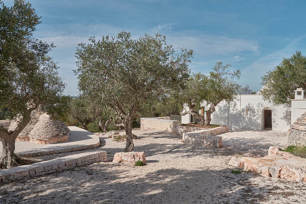 A serene courtyard with olive trees, stone walls, and a tranquil patio design.