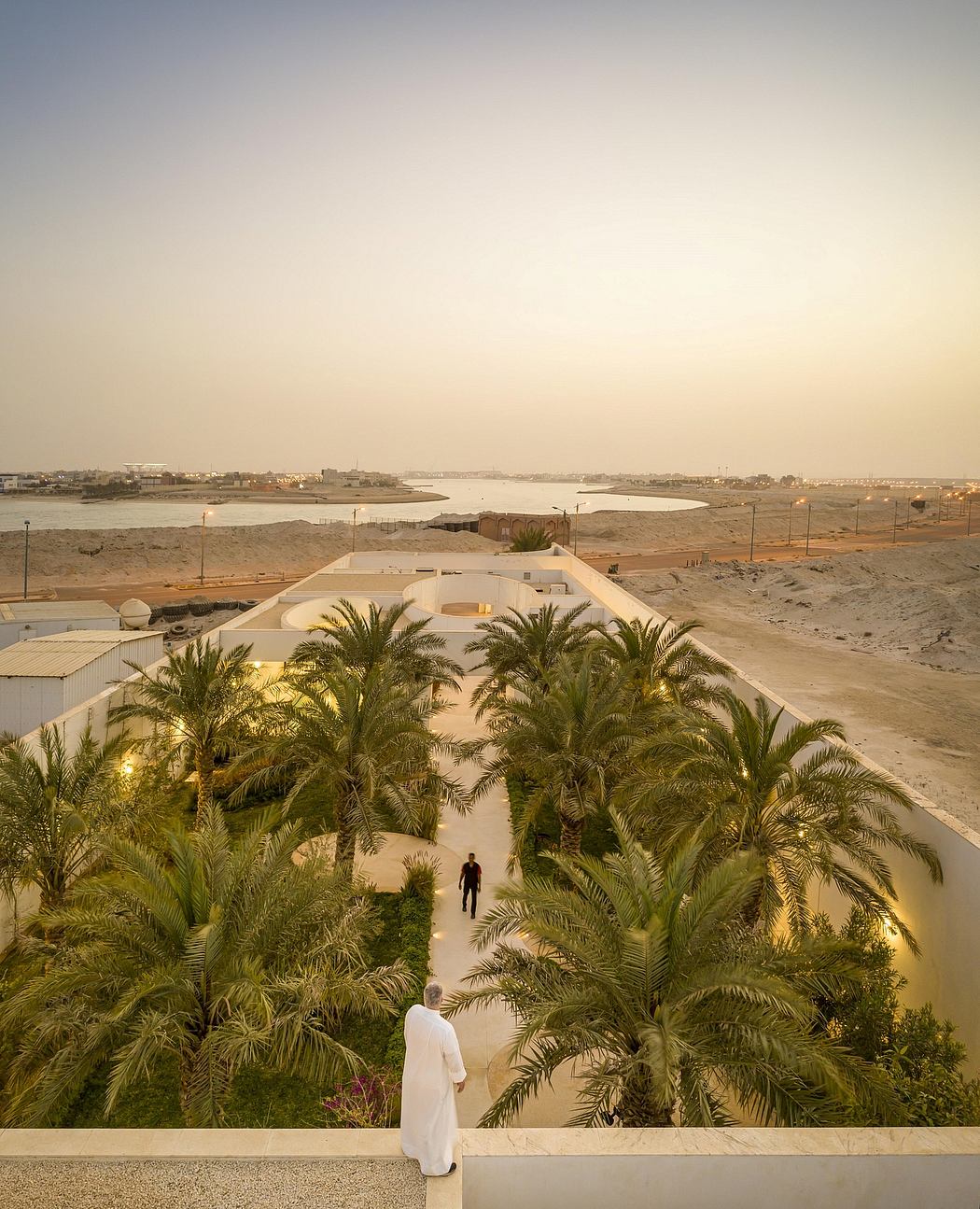 Serene desert oasis with lush palm trees lining the walkway to overlooking vistas.