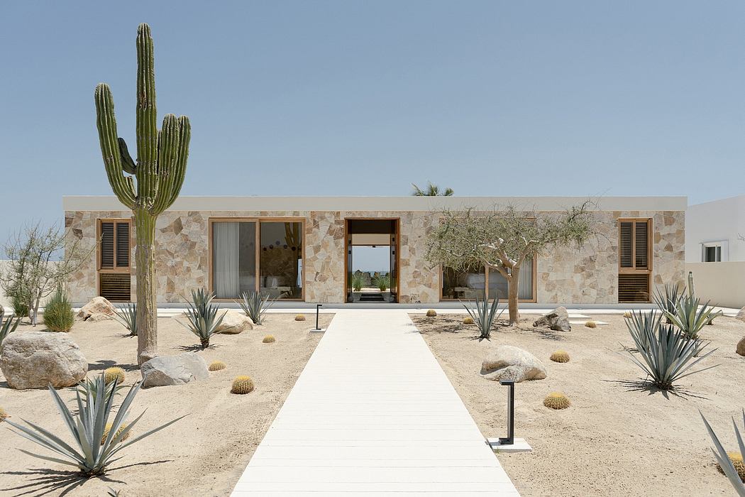 A contemporary desert-inspired home with a stone facade, cacti, and a winding path leading to the entrance.