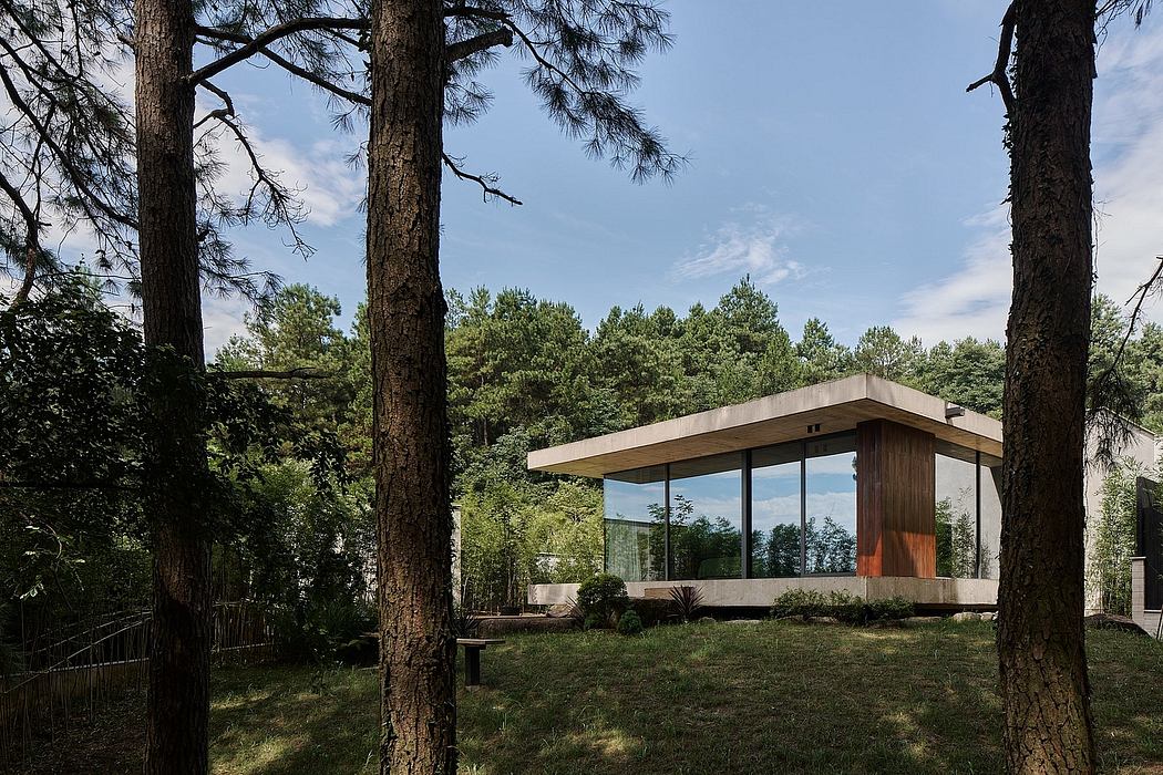 A modern glass and wood structure nestled in a lush forest, with sleek architectural lines.
