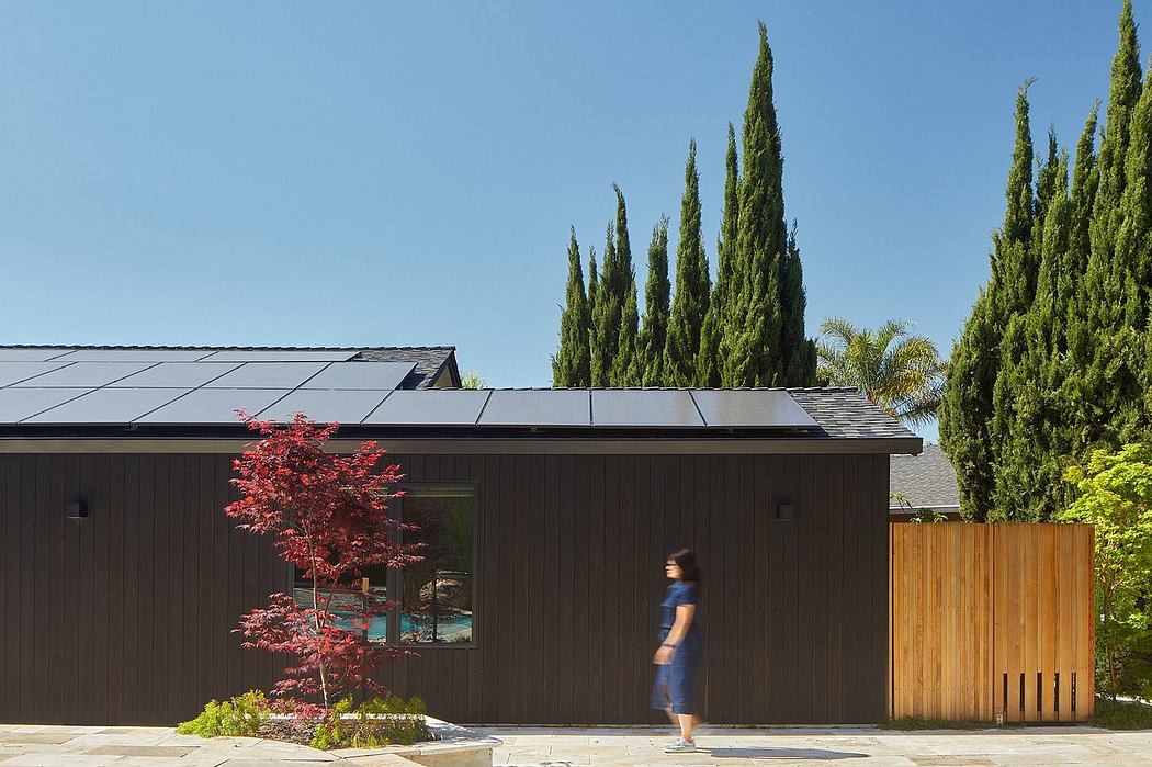 Striking modern home with solar panels, Japanese maple, and wooden gate.