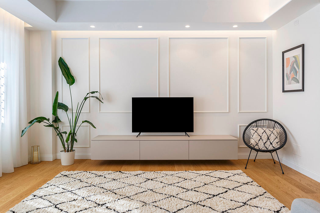 Minimalist living room with modern TV console, patterned rug, and decorative plant.