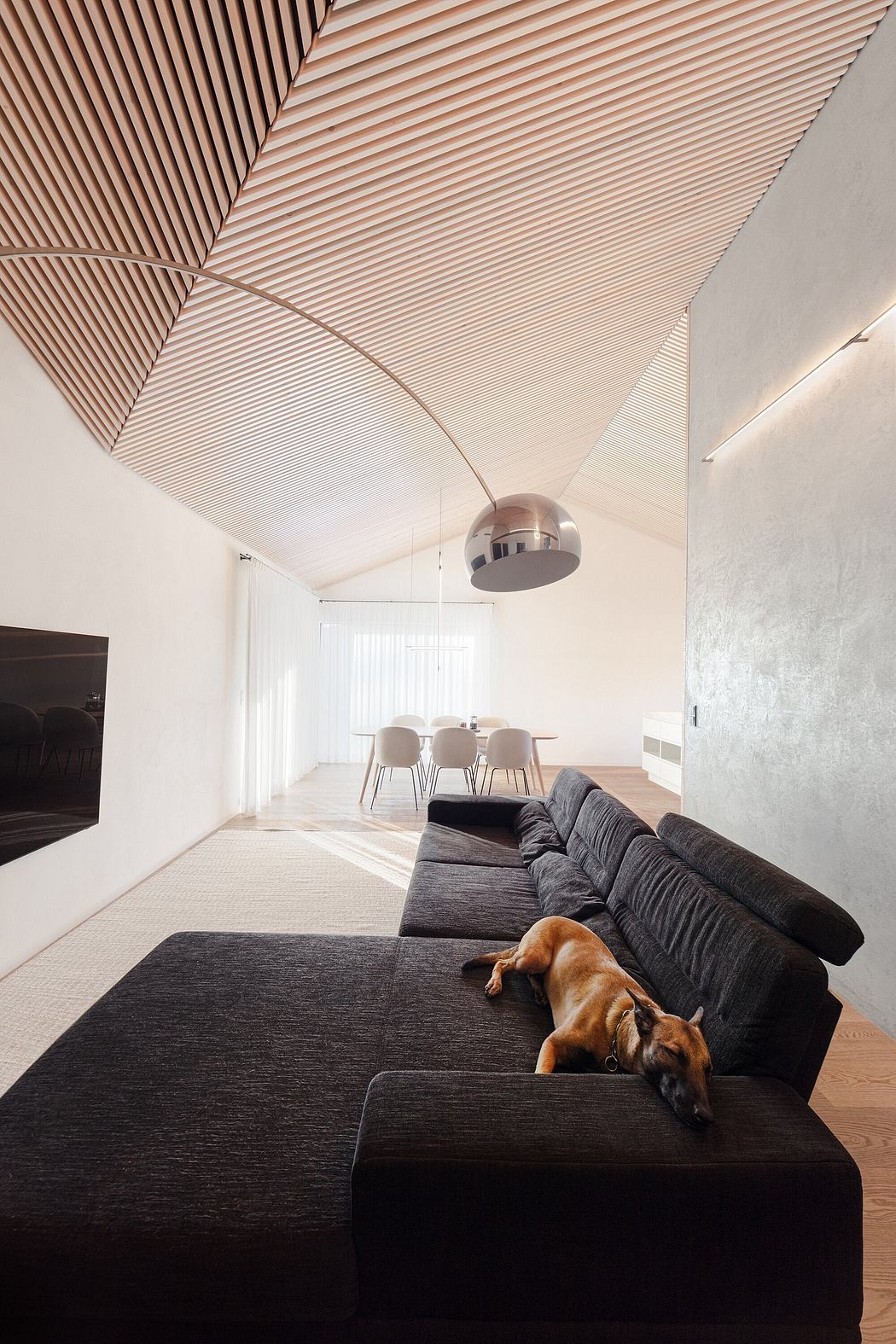 A modern and minimalist living space with a wooden slatted ceiling, large gray sofa, and a dog resting on it.