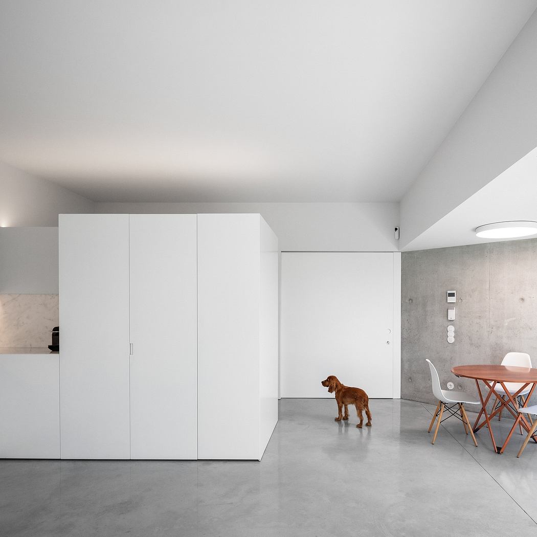 Minimalist interior design with white cabinetry, concrete floors, and a small dog.