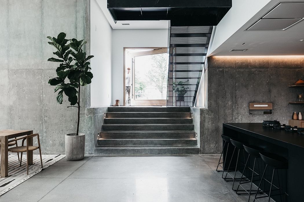Minimalist interior design with concrete stairs, potted plant, and black kitchen counter.