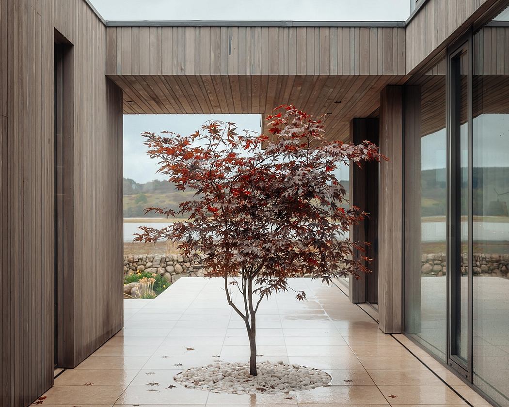 Minimalist, modern architectural design with a vibrant Japanese maple tree as a centerpiece.