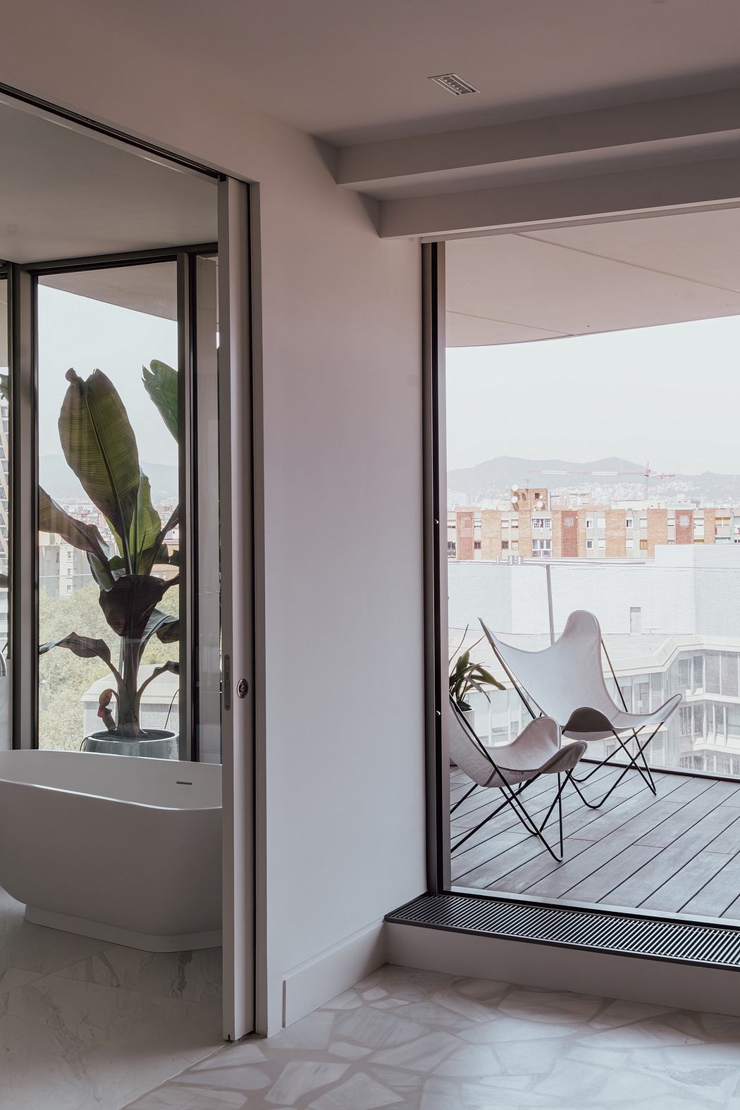 Minimalist interior with large windows, modern furniture, and a lush potted plant.