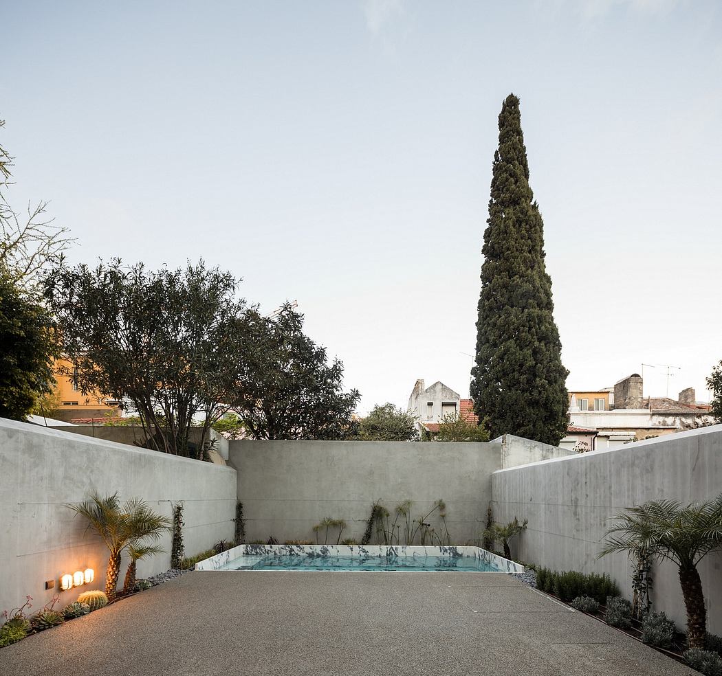 Sleek modern outdoor space with a pool, lush vegetation, and a towering cypress tree.