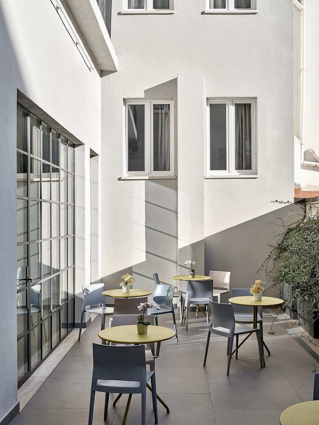 Modern architectural design with minimalist furniture and natural lighting.