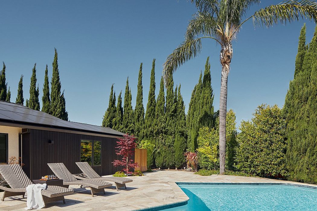 A modern home with a pool, surrounded by lush greenery and a palm tree, showcasing the architectural and landscape design.