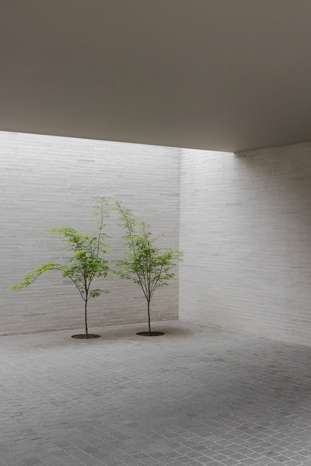Minimalist indoor space with two small trees, tiled floor, and textured walls.