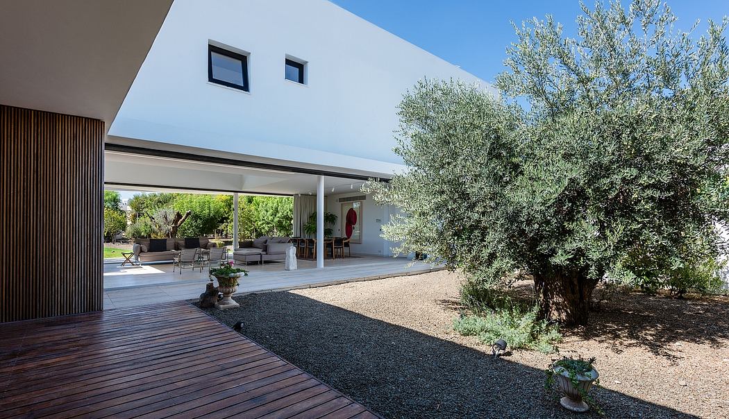Modern architectural design with covered patio, olive trees, and wood deck. Sleek exterior and interior features.