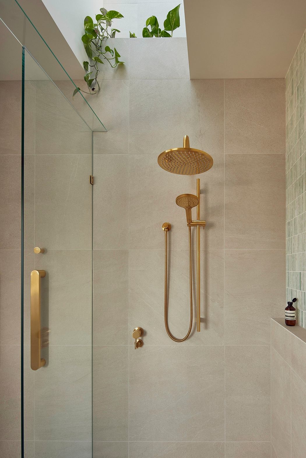 Elegant gold-tone fixtures and a lush indoor plant highlight this modern shower design.