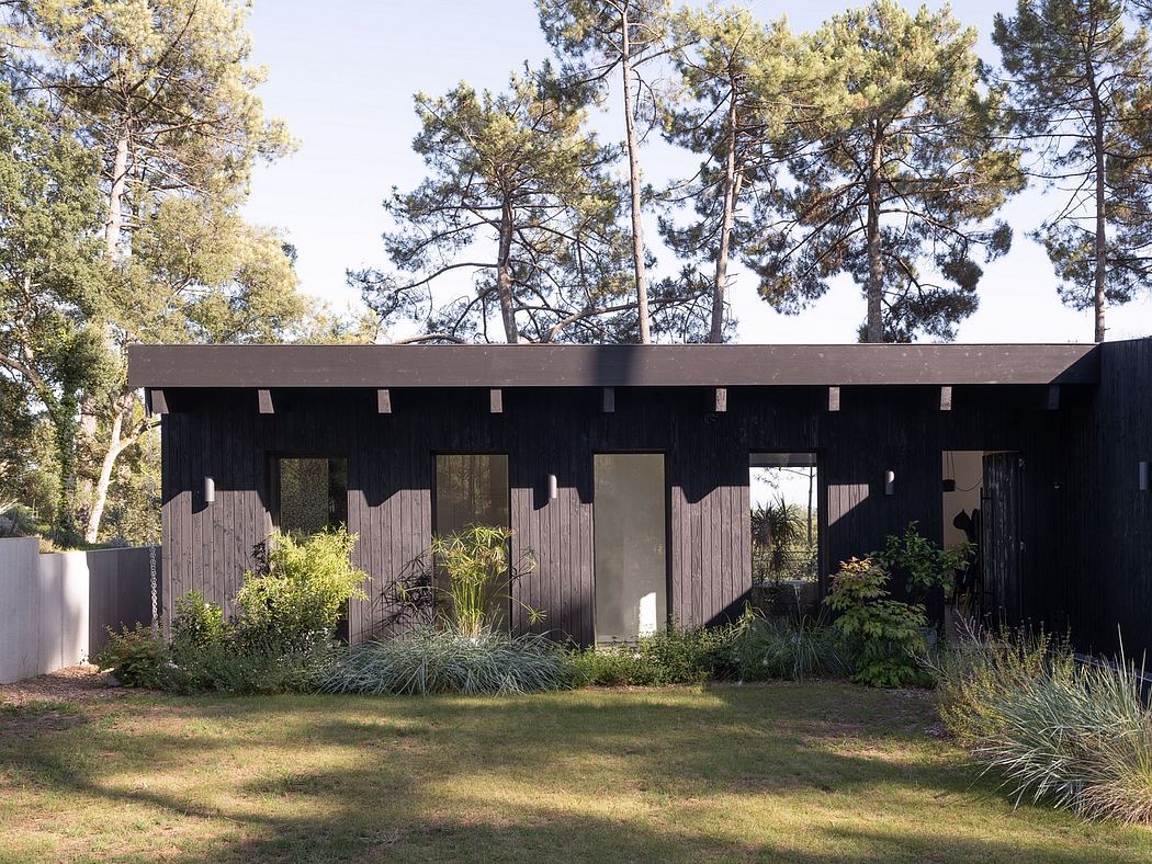 Striking contemporary cabin design with black wooden exterior and large windows amid pine trees.