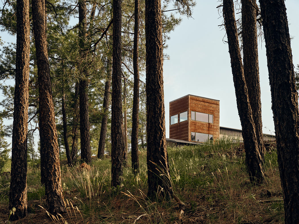 A modern, wooden cabin-like structure nestled among tall pine trees in a forested setting.