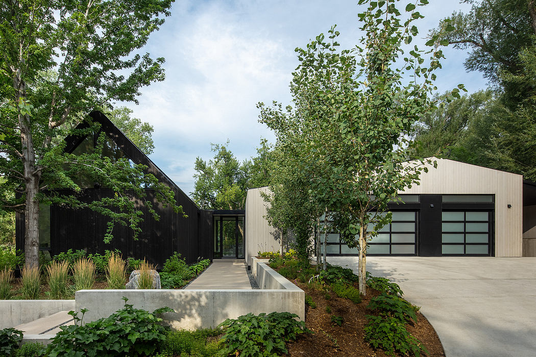 A modern, minimalist home with a concrete walkway, large windows, and lush greenery surrounding it.
