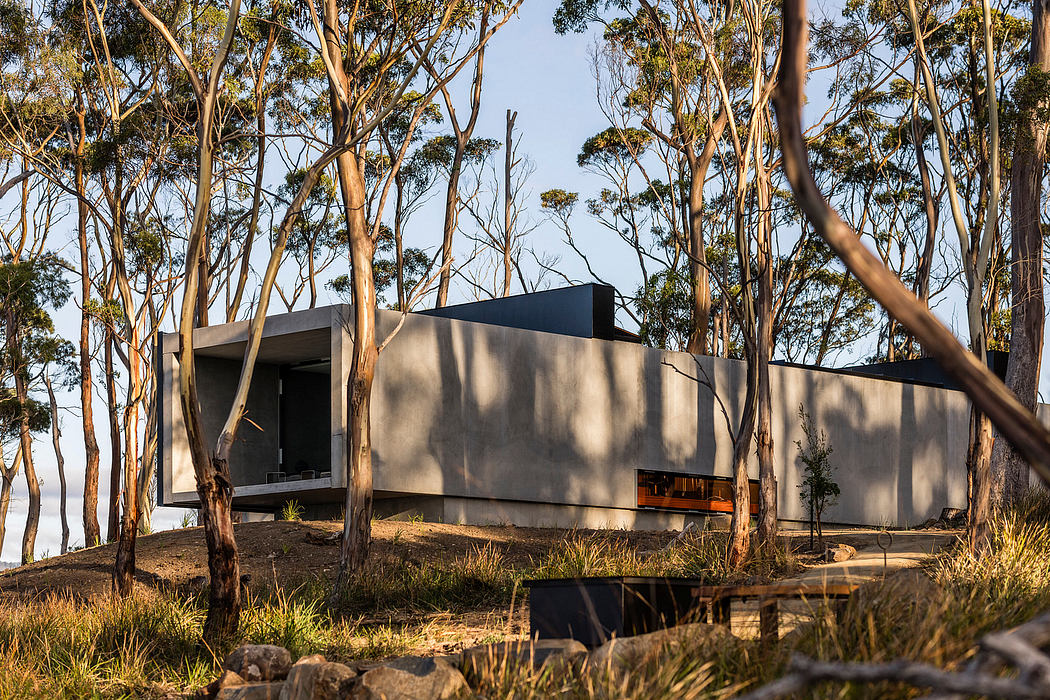 A modernist, concrete structure amid a grove of eucalyptus trees, with large windows and a deck.