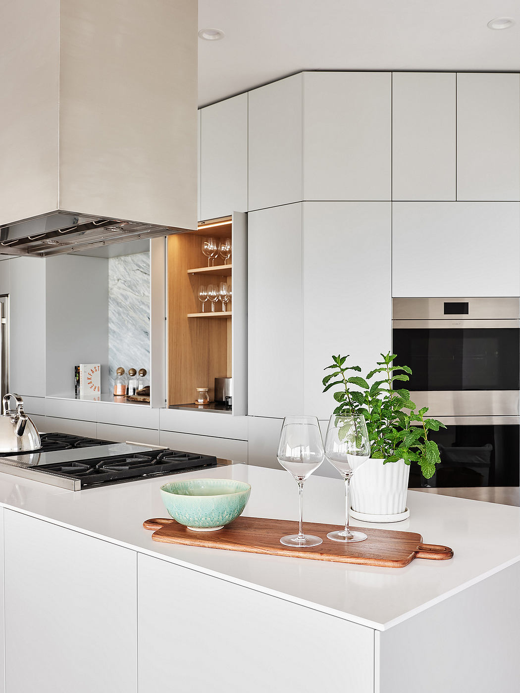 Sleek, modern kitchen with minimalist cabinetry, wood accents, and potted plant.