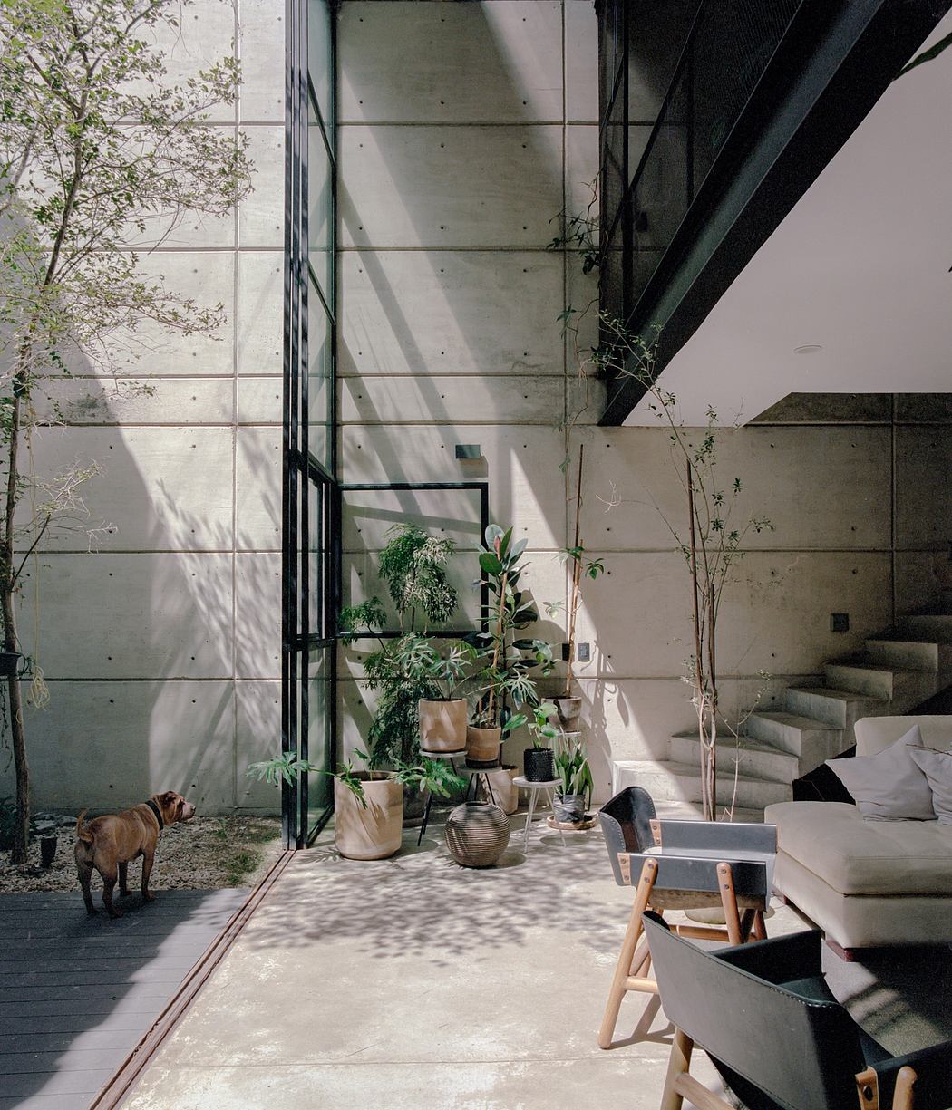 A modern, minimalist indoor space with concrete walls, plants, and natural light streaming in.