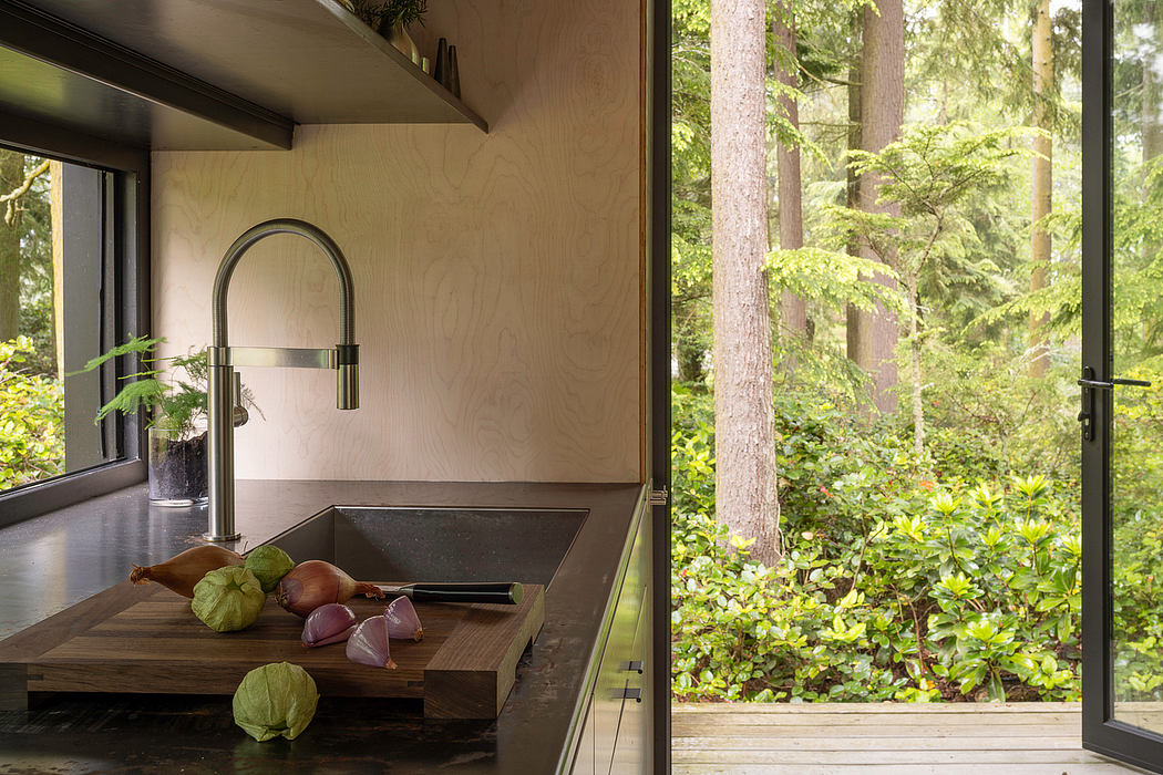 Sleek modern kitchen with large windows overlooking lush forest landscape.