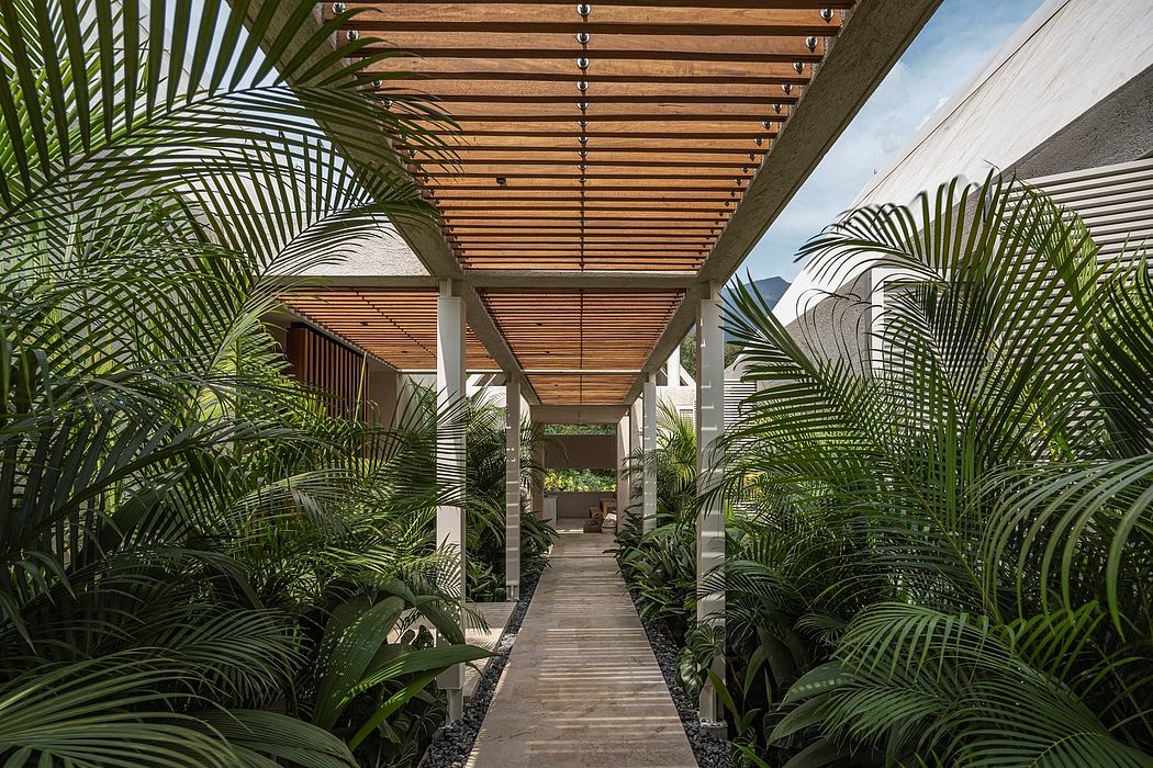 A lush, verdant walkway surrounded by towering palm trees and a sleek wooden canopy overhead.