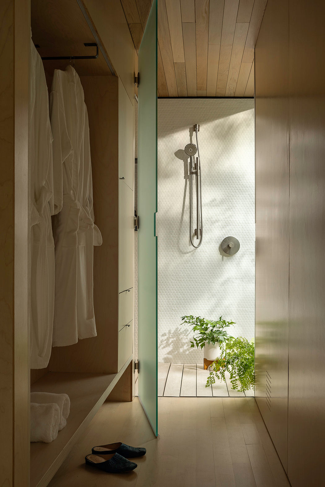 A minimalist bathroom with wood paneling, a glass shower enclosure, and a potted plant.