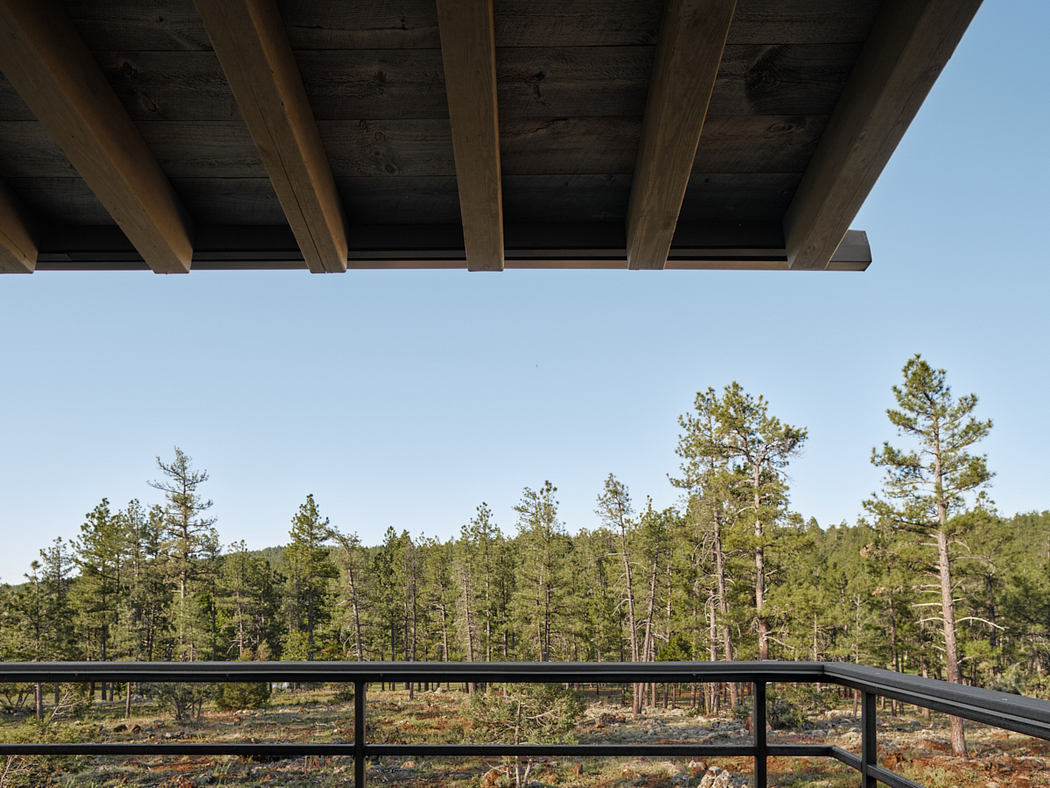 Wooden beams frame a scenic forest view, creating an appealing architectural structure.