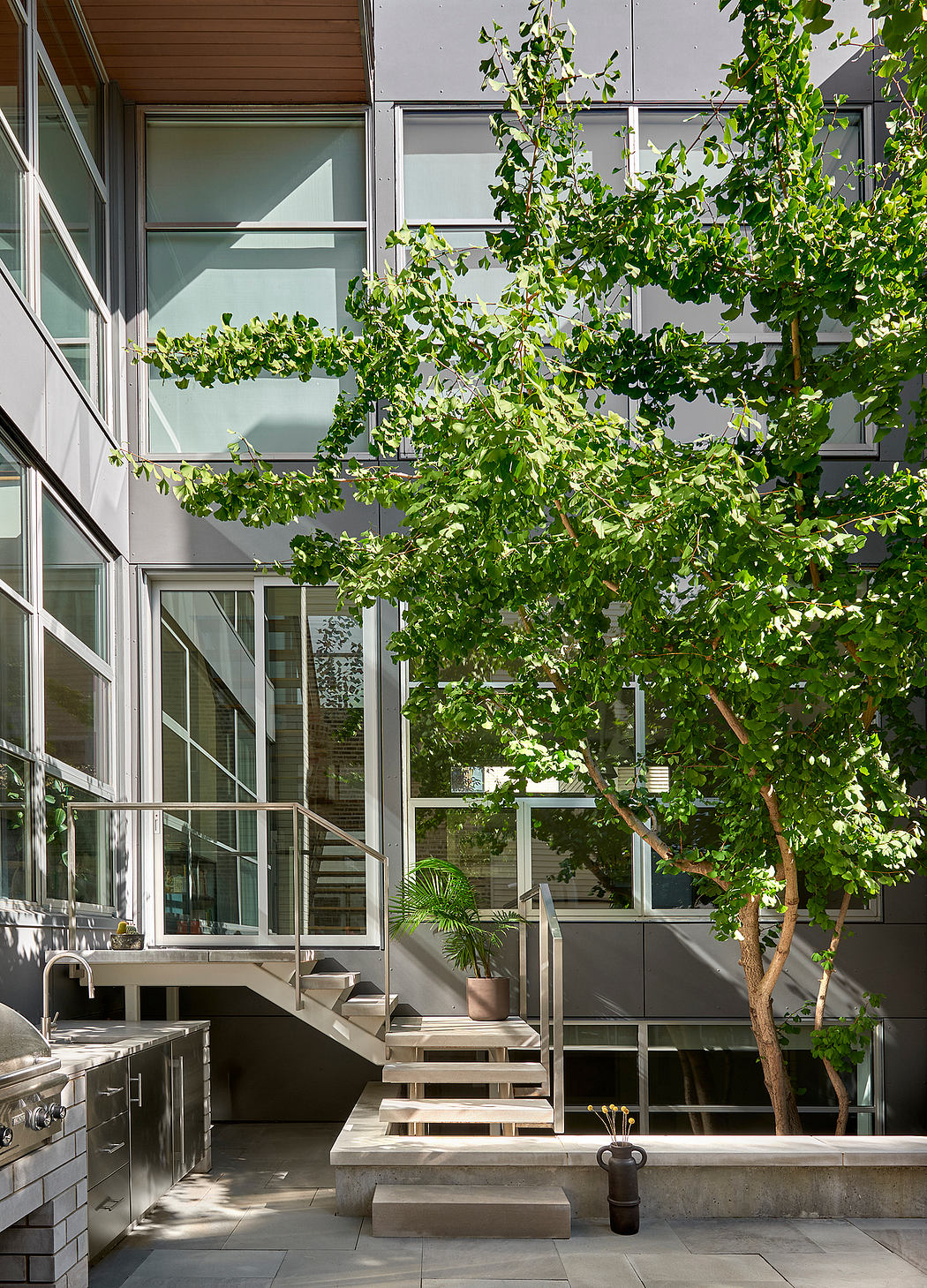 Lush foliage frames a modern glass-walled exterior, complemented by sleek concrete stairs.