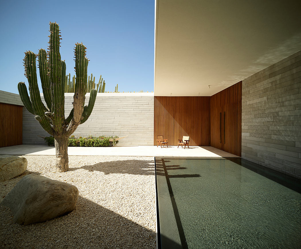 A modern courtyard with cacti, wooden doors, and a minimalist reflecting pool.