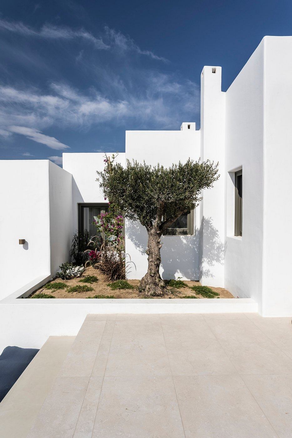 Minimalist architecture with an olive tree in a courtyard, set against a blue sky.