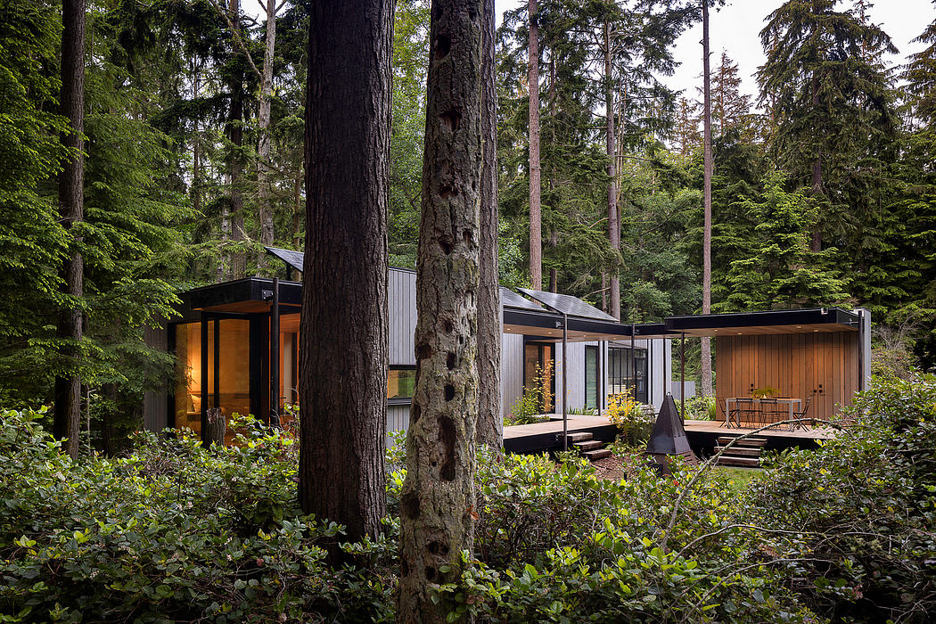 Serene modern cabin nestled in lush evergreen forest, with glass walls and wooden accents.