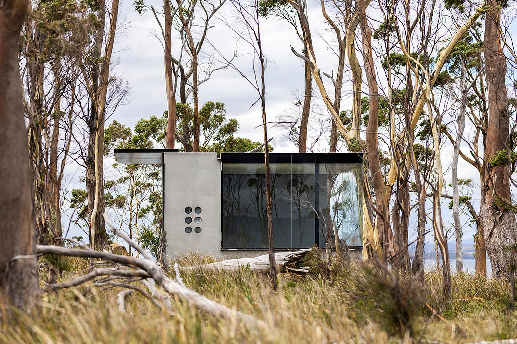 A modern, minimalist building with glass walls nestled among gnarled, bare trees in a natural landscape.