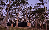 017-vipp-tunnel-balances-brutalism-and-nature-on-tasmanias-bushlands.jpg
