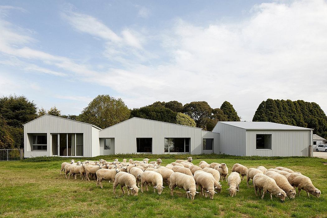 Sleek, minimalist structures set against a pastoral scene with a herd of sheep grazing.