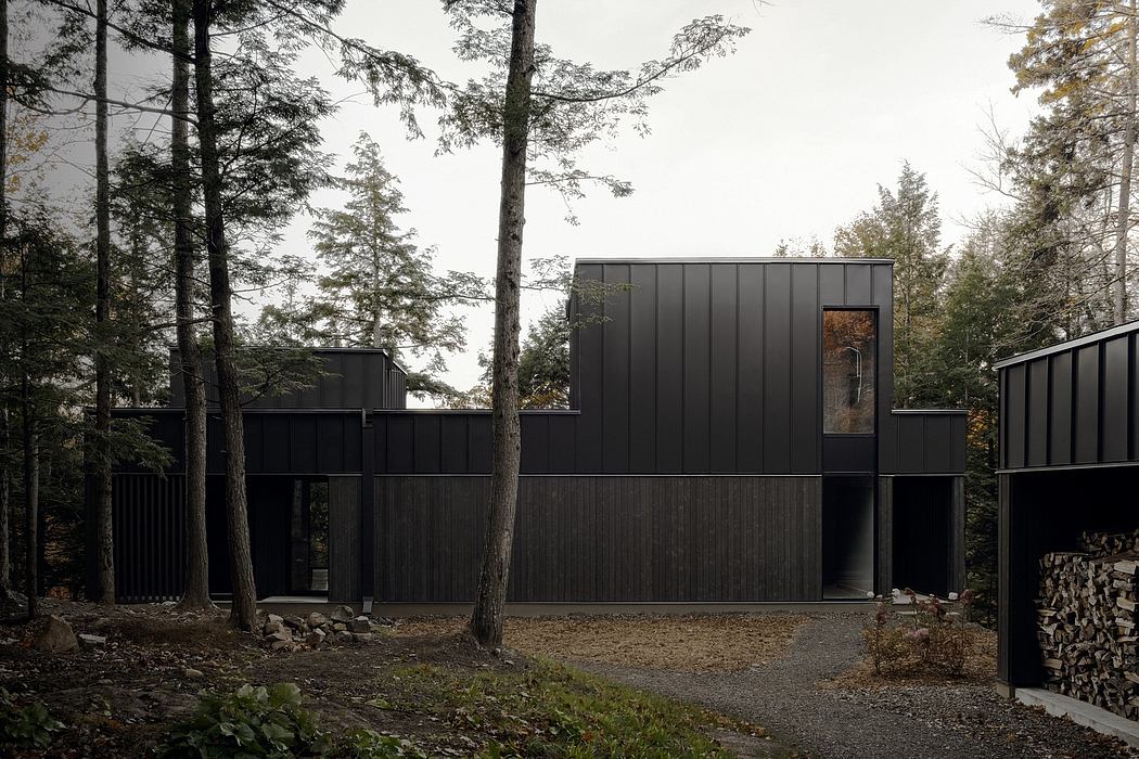 A modern, dark wood and glass cabin nestled among the trees.