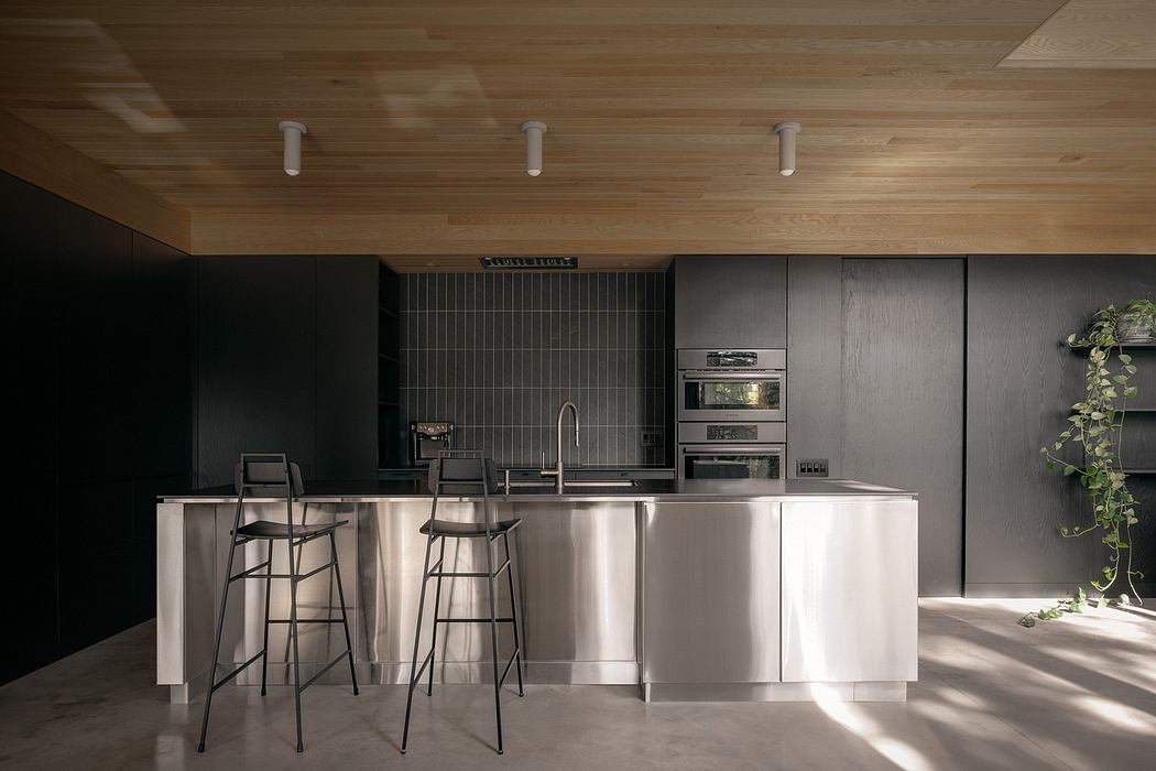 Sleek, modern kitchen with stainless steel appliances, dark cabinetry, and wooden ceiling.