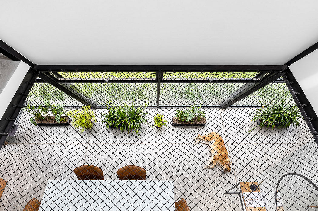 Enclosed space with wire mesh walls and potted plants, featuring wooden bench seating.