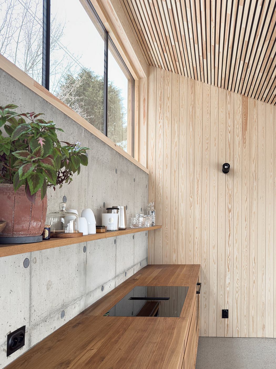 Modern open-plan interior with concrete walls, wood paneling, and built-in storage shelves.