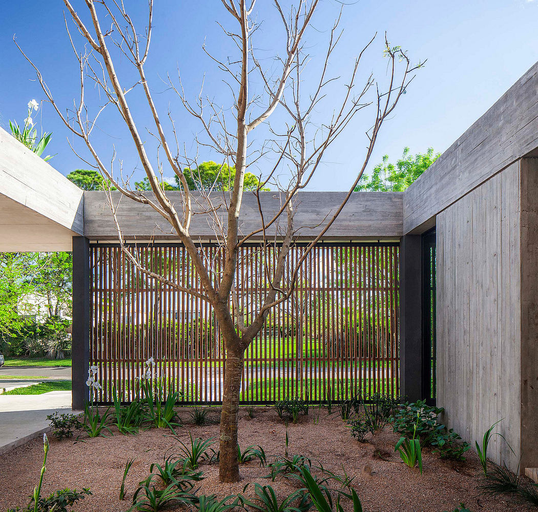 Wooden slat fence, bare tree, and concrete walls create a modern, minimalist landscape.